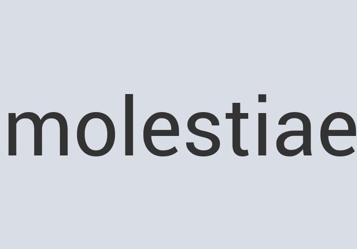 Durable Copper Godzilla’s Playground