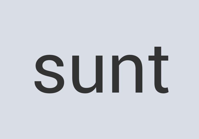 Aerodynamic Bronze PoshPet Collars